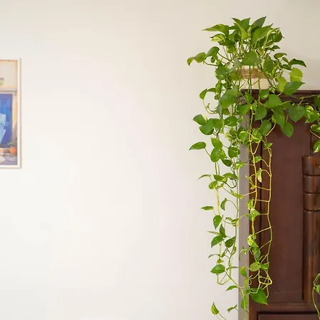 アパート Casa Midea *