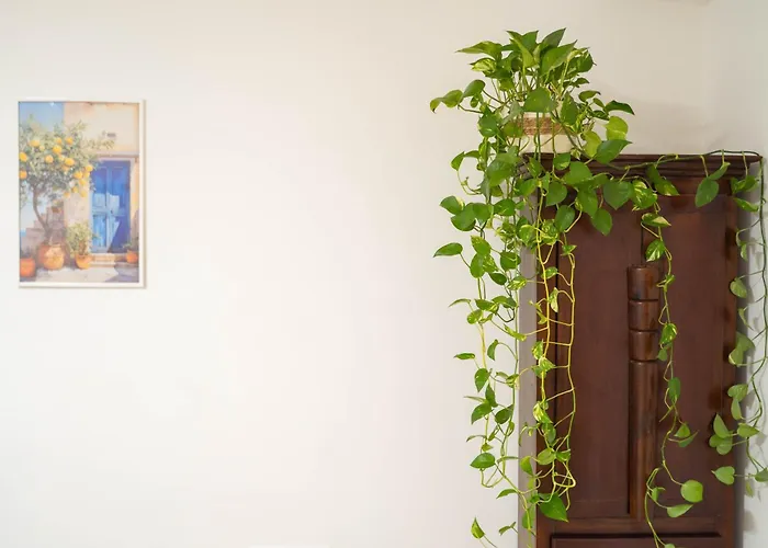 Apartamento Casa Midea *